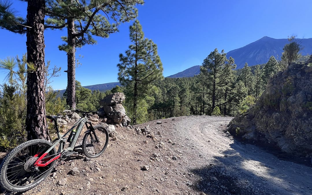 E-Bike Tour im National Park El Teide
